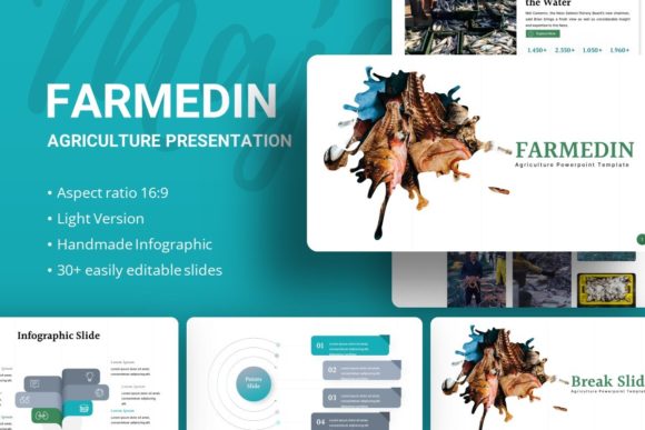 Enhance Your Brand with Farmedin Presentation Template